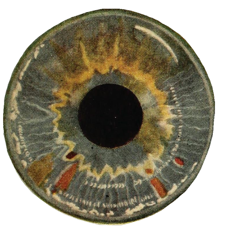 A drawing of an eyeball. It dares you to select a language.